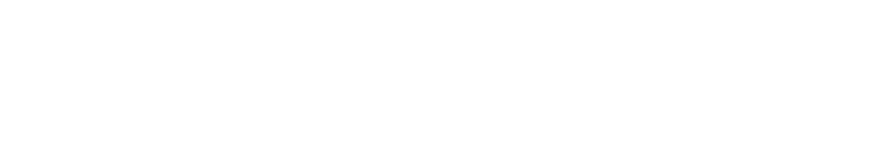 VSA Vet Media logo